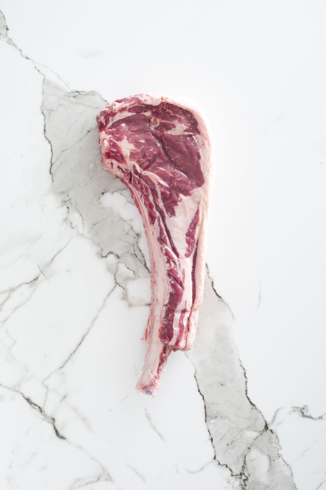 Tomahawk 2C  – Ohra Pampa